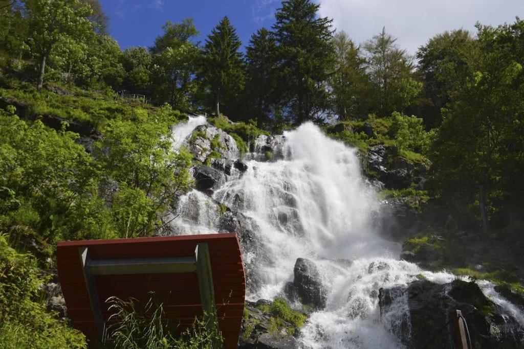 Waldklang Titisee Εξωτερικό φωτογραφία