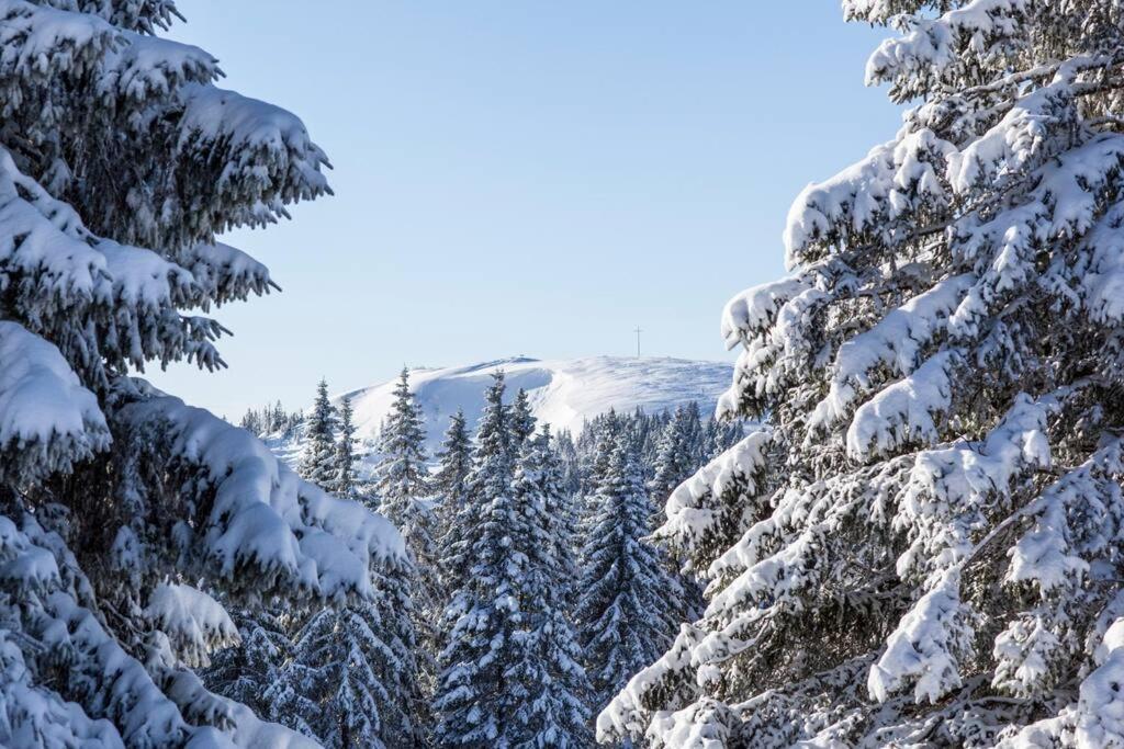 Waldklang Titisee Εξωτερικό φωτογραφία