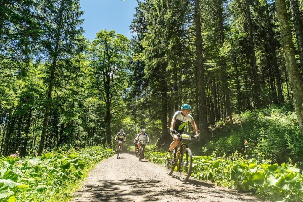 Waldklang Titisee Εξωτερικό φωτογραφία